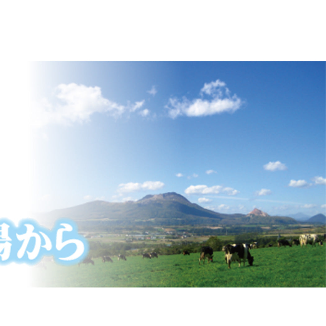 ヨーグルト お酒 リキュール 北海道直送 北の牧場から 720ml