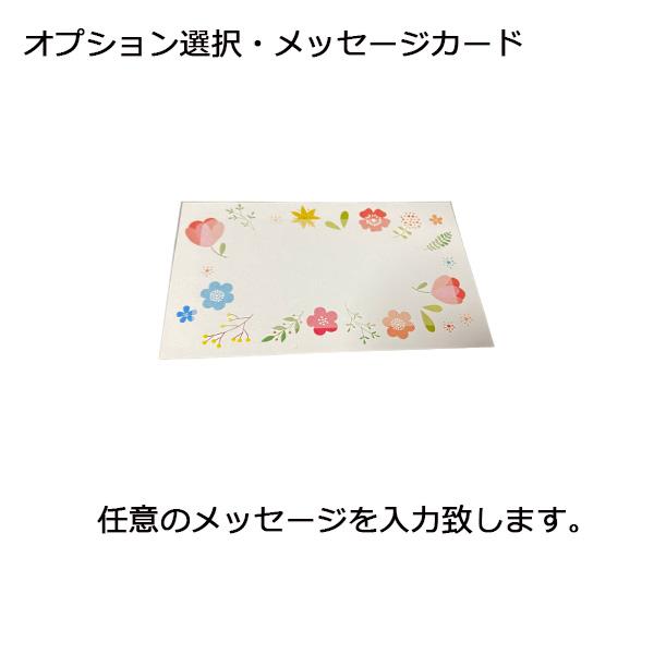 獺祭 純米大吟醸 45 1800ml 高級桐箱メッセージ付き