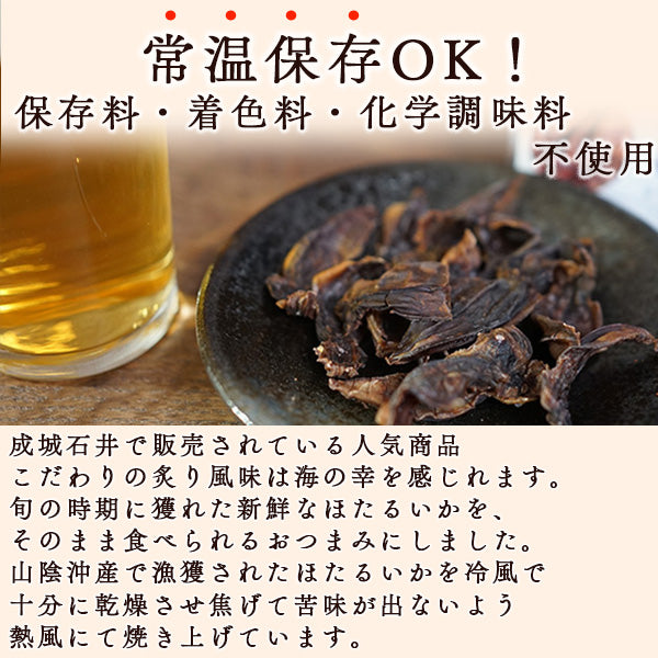 おつまみセット 厳選炙りシリーズ お酒にあう炙りおつまみ 炙りほたるいか 6パック 絶品おつまみ