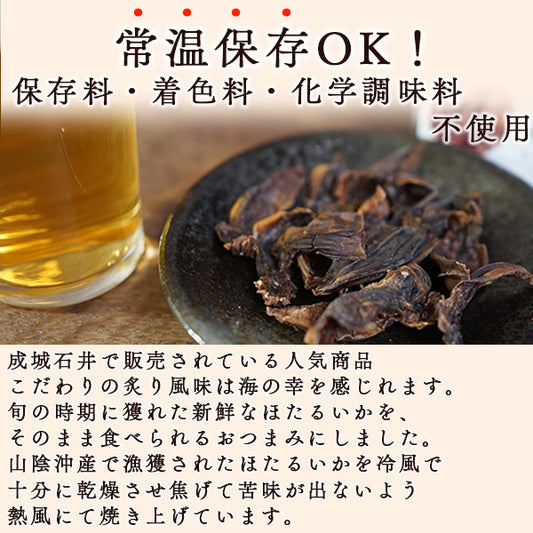 おつまみセット 厳選炙りシリーズ お酒にあう炙りおつまみ 炙りほたるいか 6パック 絶品おつまみ