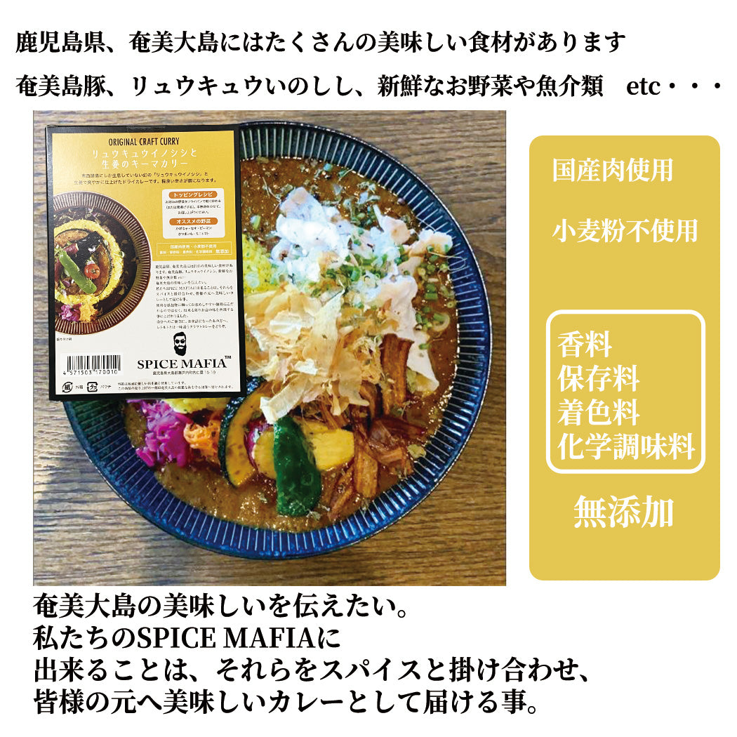 南国スパイス饗宴 琉球イノシシと生姜の濃厚キーマカレー×島豚と梅のポークビンダル (無添加)SPICE MAFIA スパイスマフィア 160g×6袋