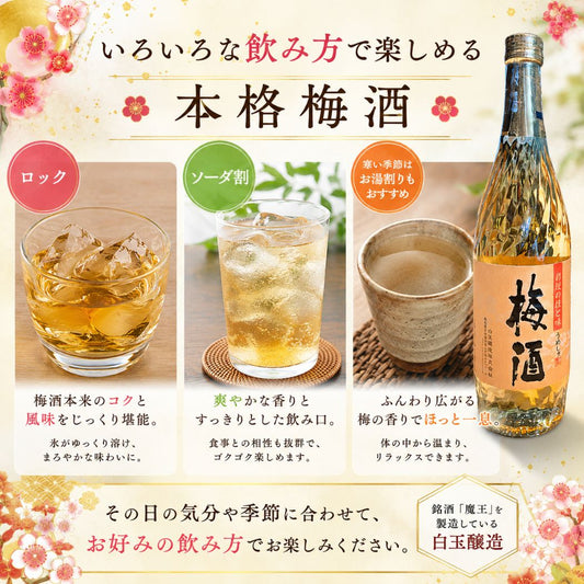 彩煌の梅酒 720ml
