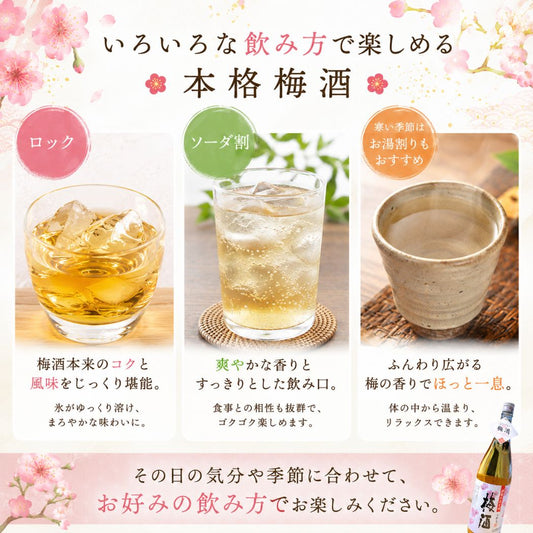 彩煌の梅酒 1800ml さつまの梅酒
