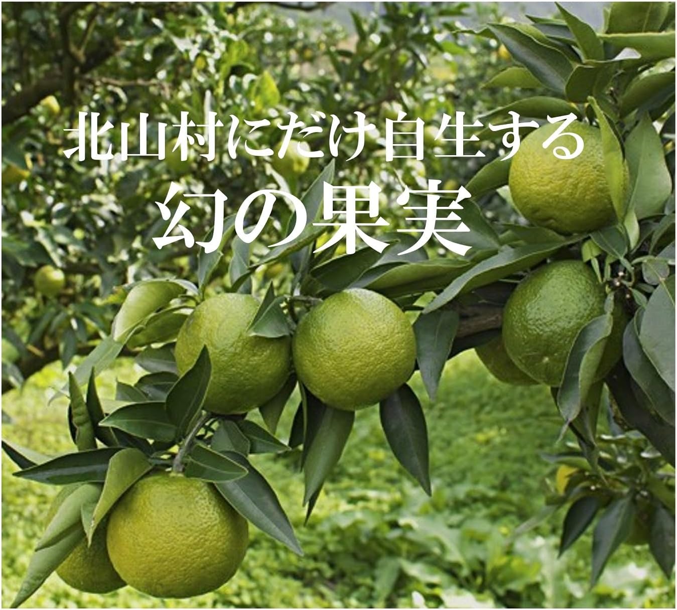 じゃばら飴 最安価格 大容量 210g×2袋 送料無料 花粉対策 北山村【季節限定】