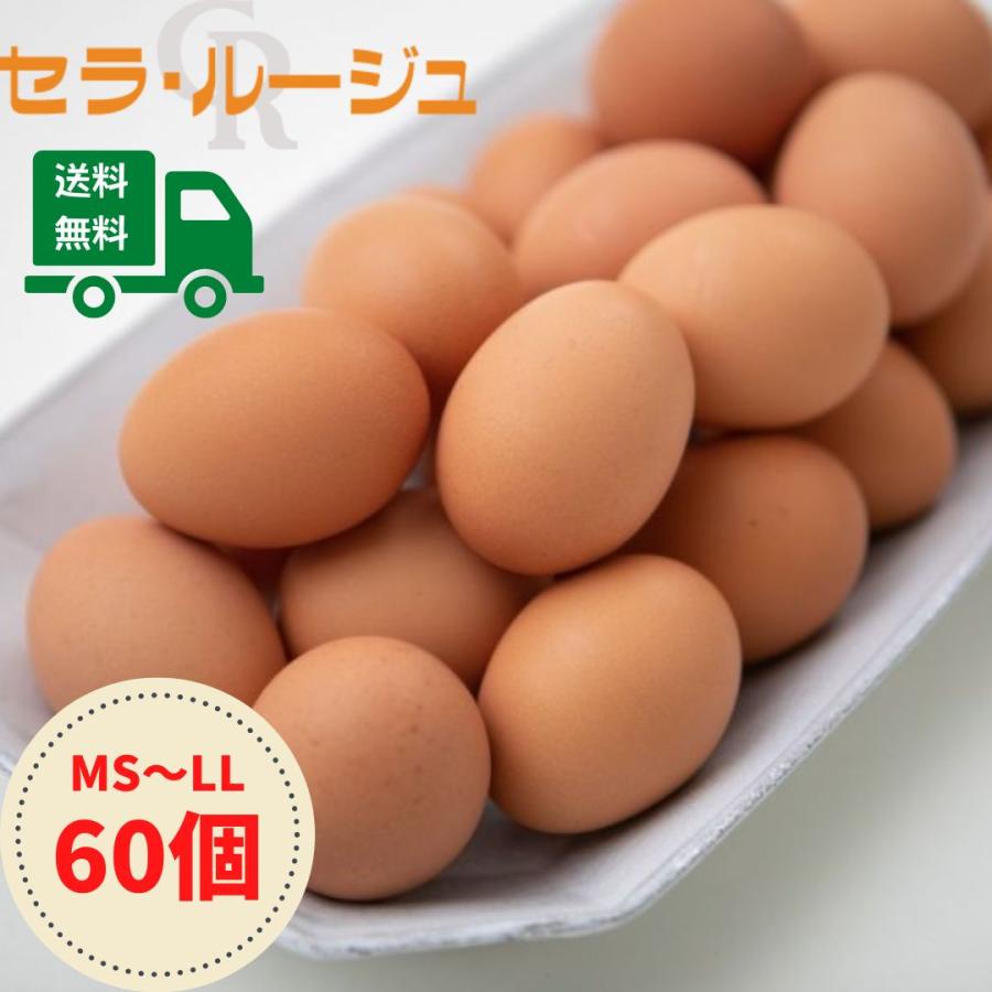 こだわり家族のこだわり卵　60個　セラ・ルージュ