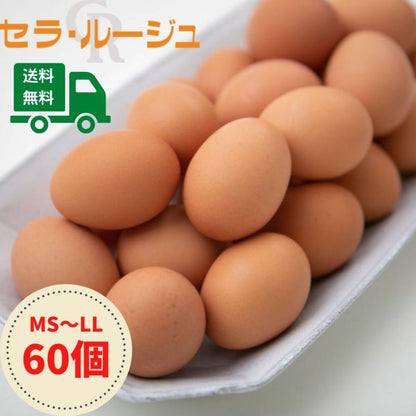 こだわり家族のこだわり卵　60個　セラ・ルージュ