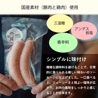 無添加 ポークソーセージ 国産 厳選素材にこだわり 440g 小分け4パック