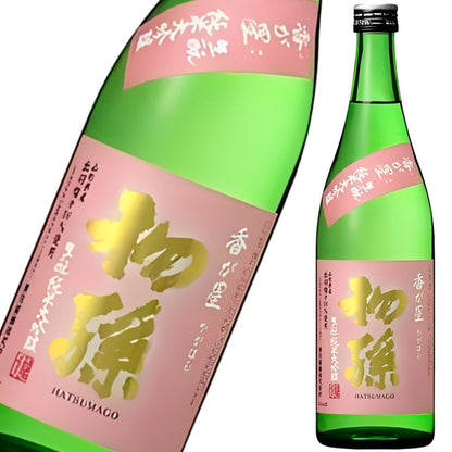 初孫 香が星 純米大吟醸 720ml