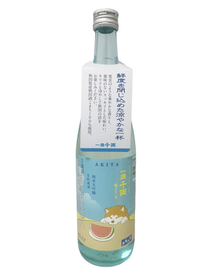 一滴千両 夏限定 旬シリーズ 純米大吟醸 生貯蔵酒 720ml