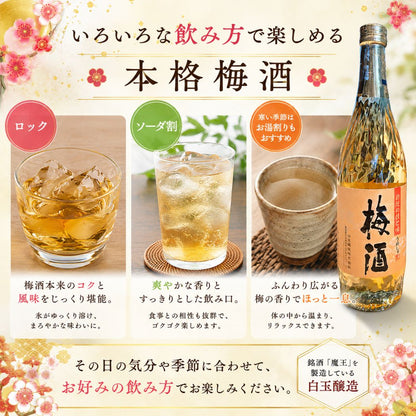 彩煌の梅酒 720ml